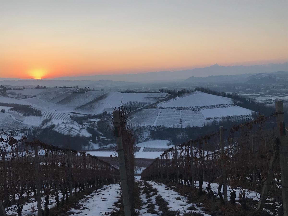 Agriturismo Tre Stelle بارباريسكو المظهر الخارجي الصورة