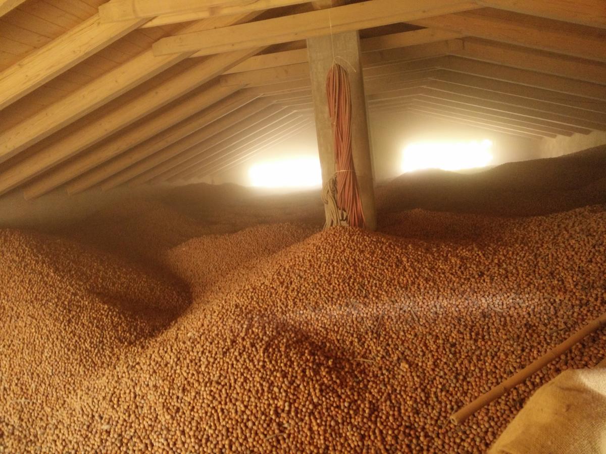 Agriturismo Tre Stelle بارباريسكو المظهر الخارجي الصورة